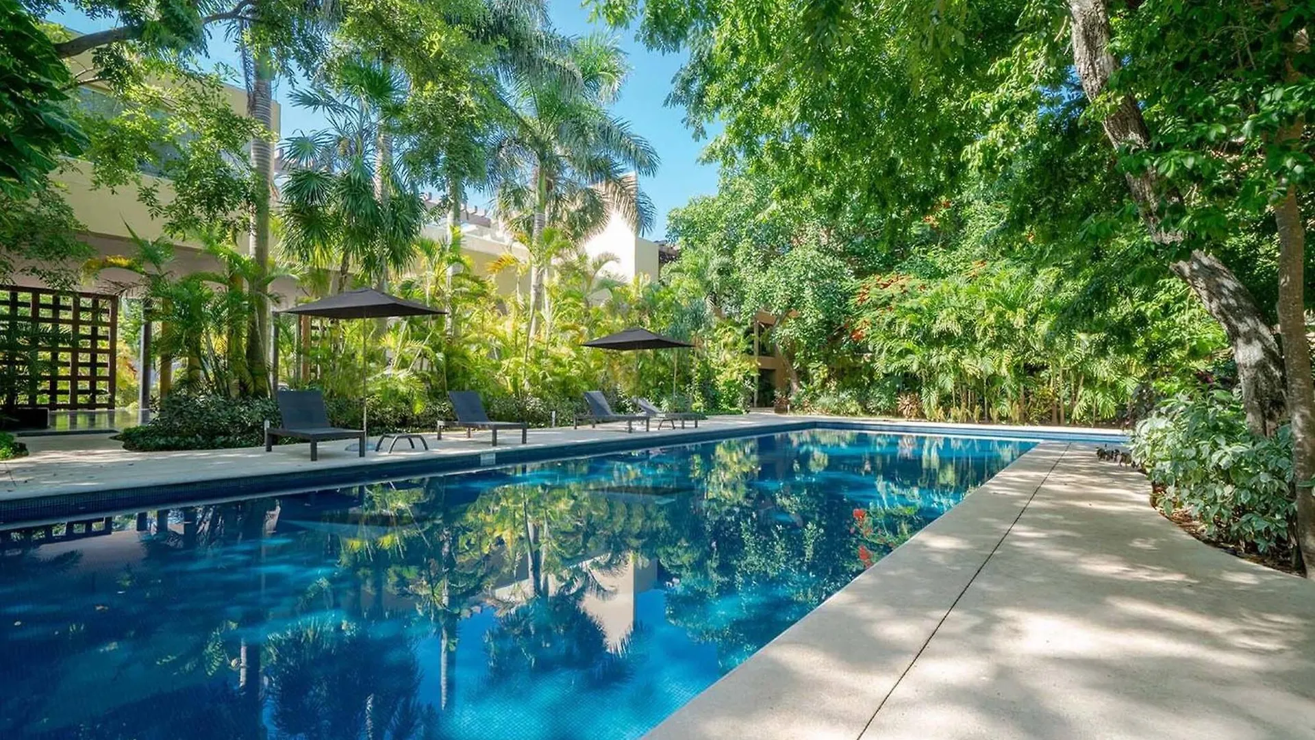 Condo Valentine 5 Star, 4 Pools, Gym, Concierge Services, 24-Hr Security Playa del Carmen